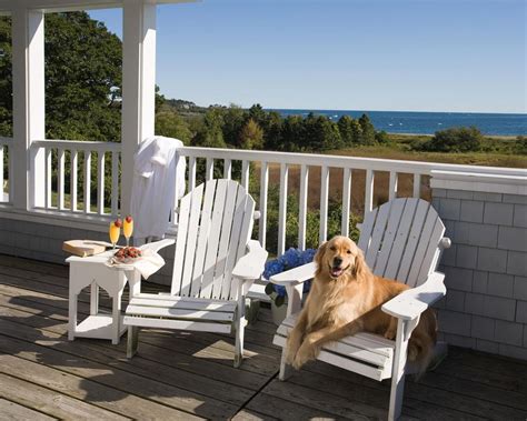 The 10 Best Pet Friendly Hotels in Hampton 2024 (with Prices ...